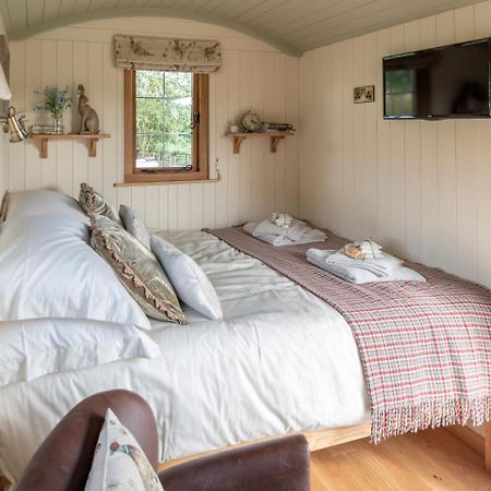 Willa Padarn'S Hut Llanbadarn Fynydd Zewnętrze zdjęcie